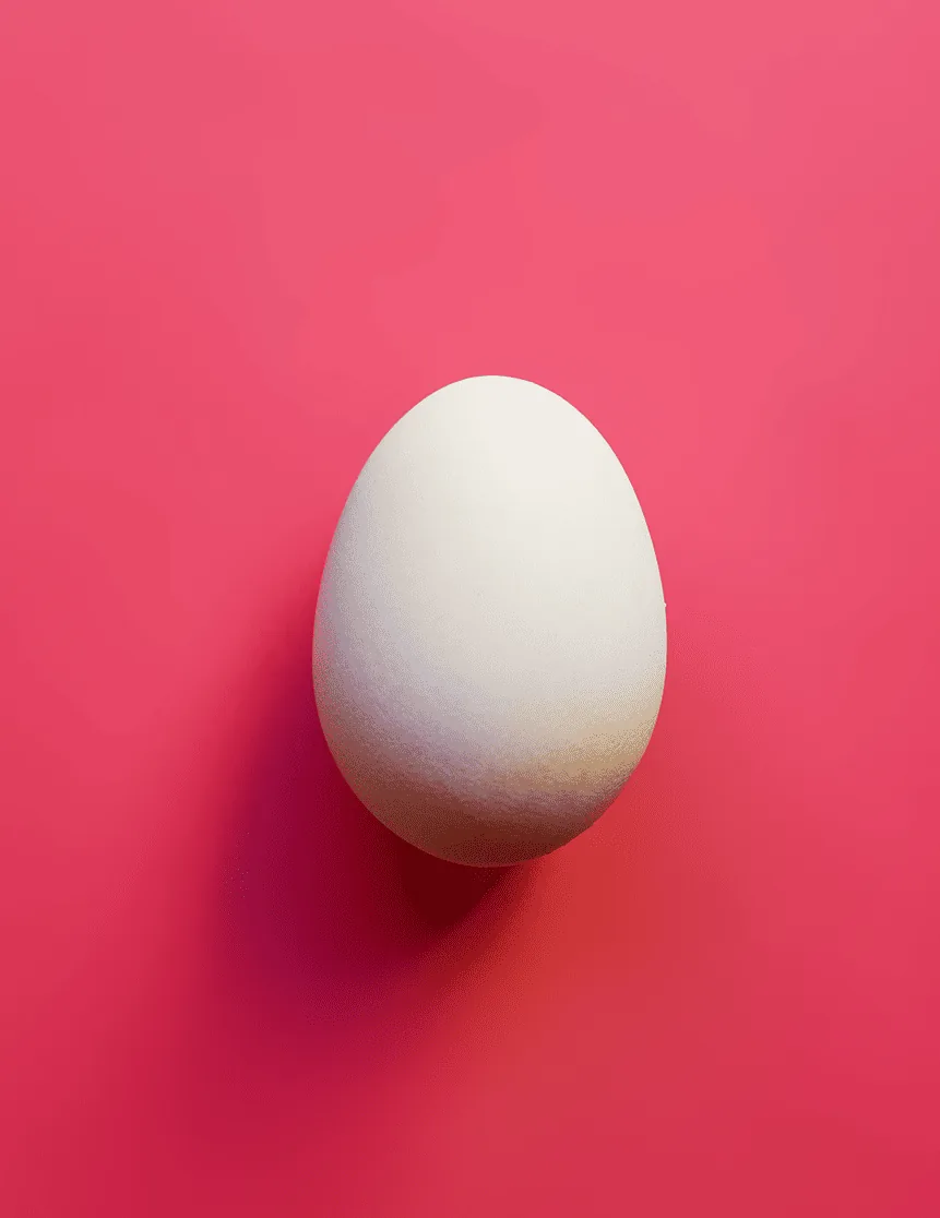 Egg Photo