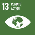 SDG-Icons-13